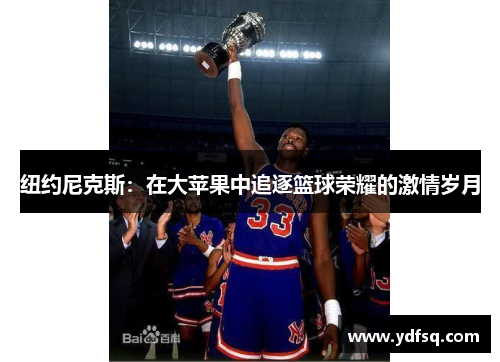 纽约尼克斯：在大苹果中追逐篮球荣耀的激情岁月