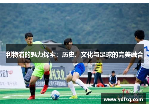 利物浦的魅力探索：历史、文化与足球的完美融合