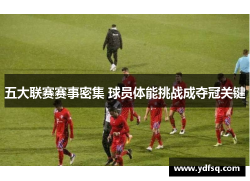 五大联赛赛事密集 球员体能挑战成夺冠关键