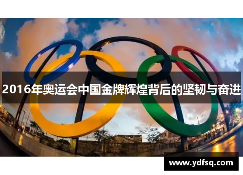 2016年奥运会中国金牌辉煌背后的坚韧与奋进